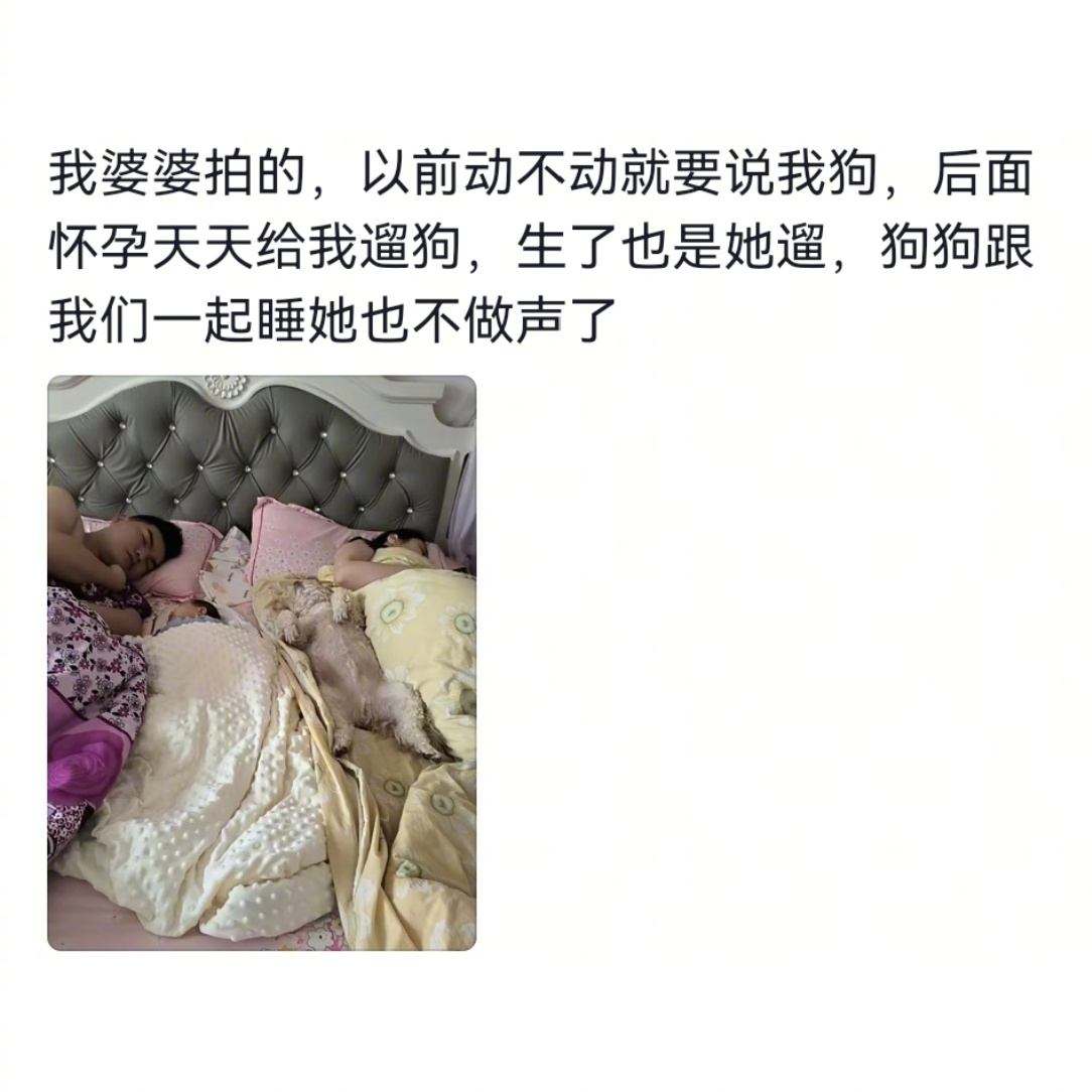 你的家庭地位决定了宠物的地位