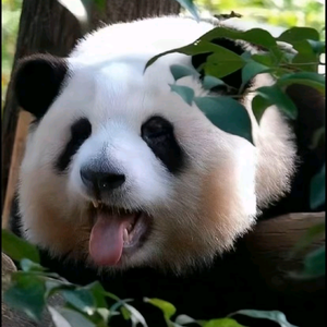 与车共勉与有荣焉