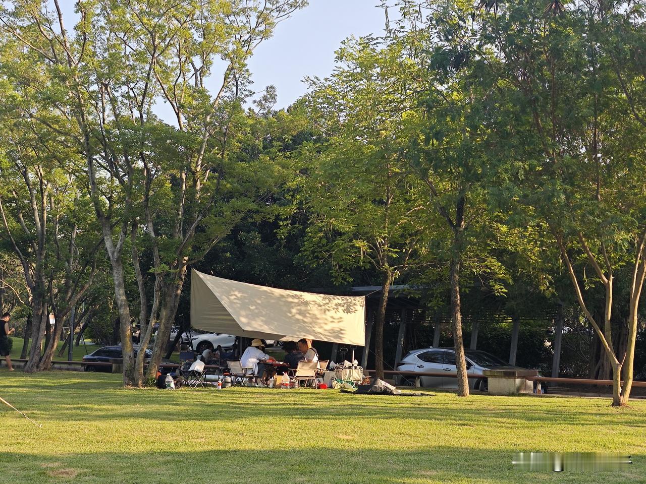 福州是一座十分宜居的城市，全域公园密布、绿植繁茂，绿化环境优越。每逢周末，人们总