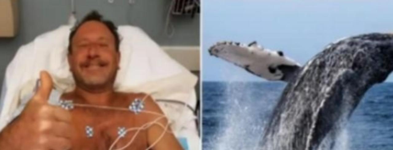 2021年，美国一男子在海底潜水捕捉龙虾时，突然被15米长的座头鲸整个吞下，本以