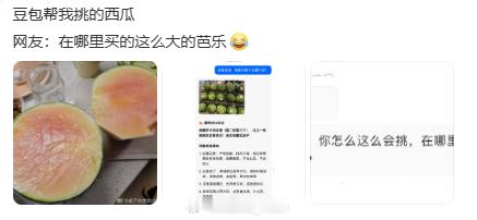 豆包帮挑的西瓜 对不起哈哈哈，怎么回事豆包！怎么就在西瓜上面栽了选得很好，下次别
