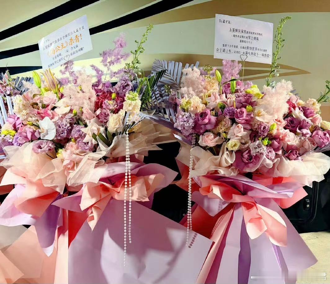 孟子义尚公主杀青应援 太宠了吧！粉丝创意满分，应援既有排面又有温度。烤全羊管饱，