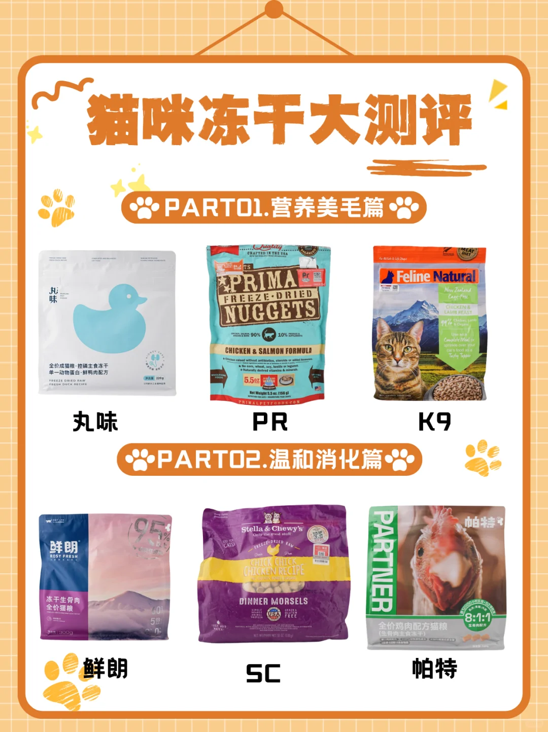不精致的喂猫攻略