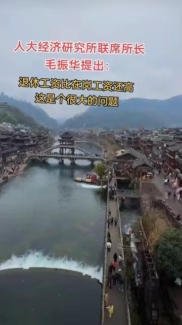 毛振华所长建议：“退休金不能比在岗工资还高，应保证基本生活而不是优雅生活……” 