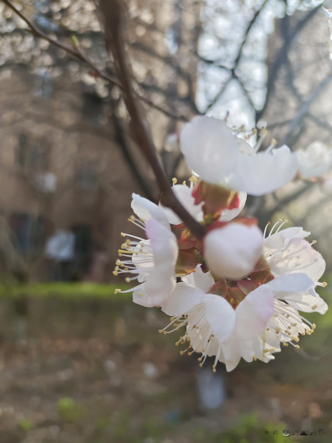 珍惜你的低谷期，那是老天在渡你
 
人这辈子，谁都有摔进低谷的时候，没钱、没势、