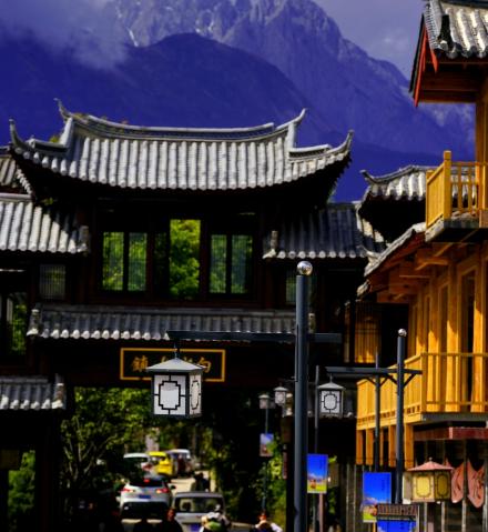 今天咱们聊一所被严重低估的大学——云南农业大学。
为什么要聊它？因为很多家长和考