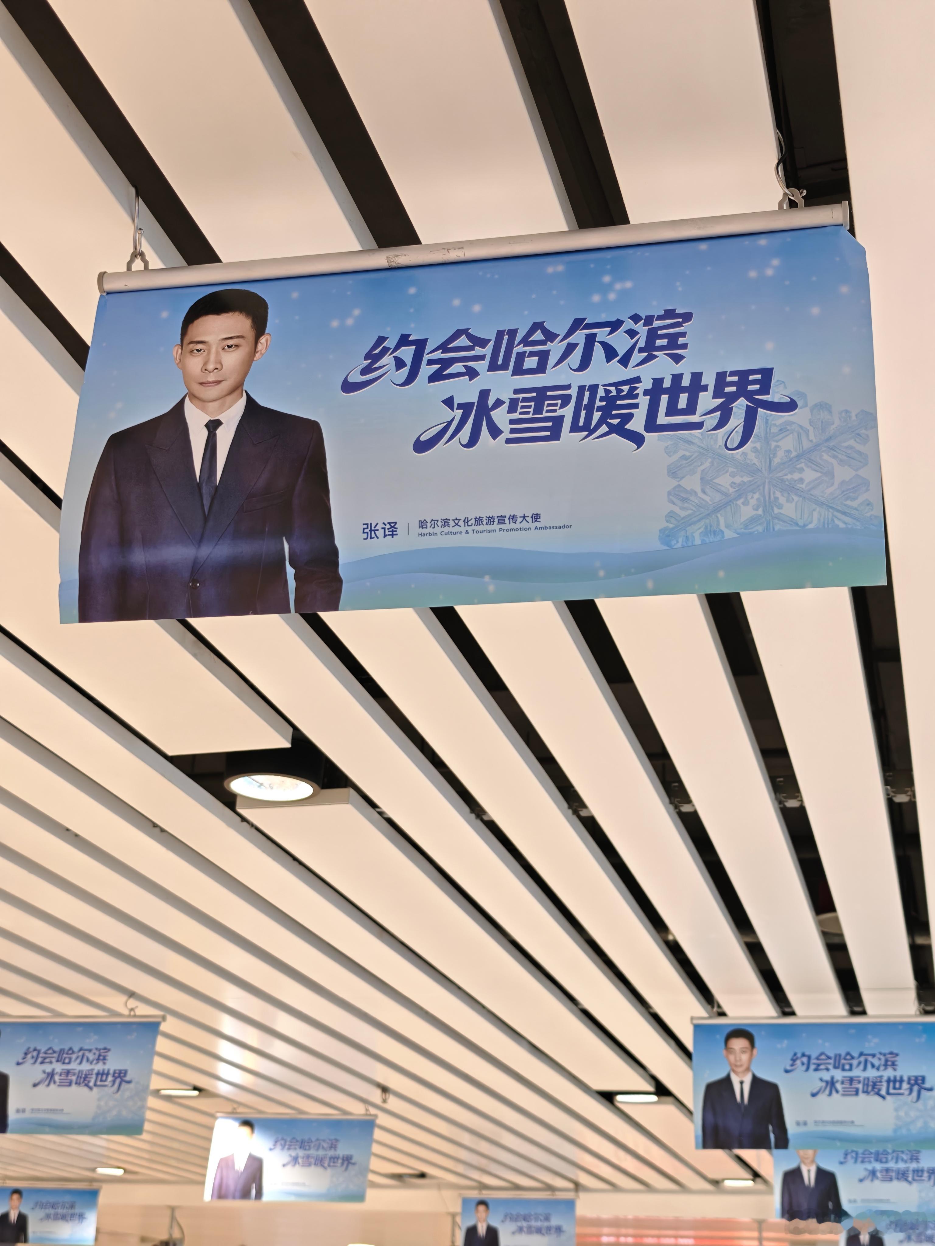 落地哈尔滨，头顶全是张译