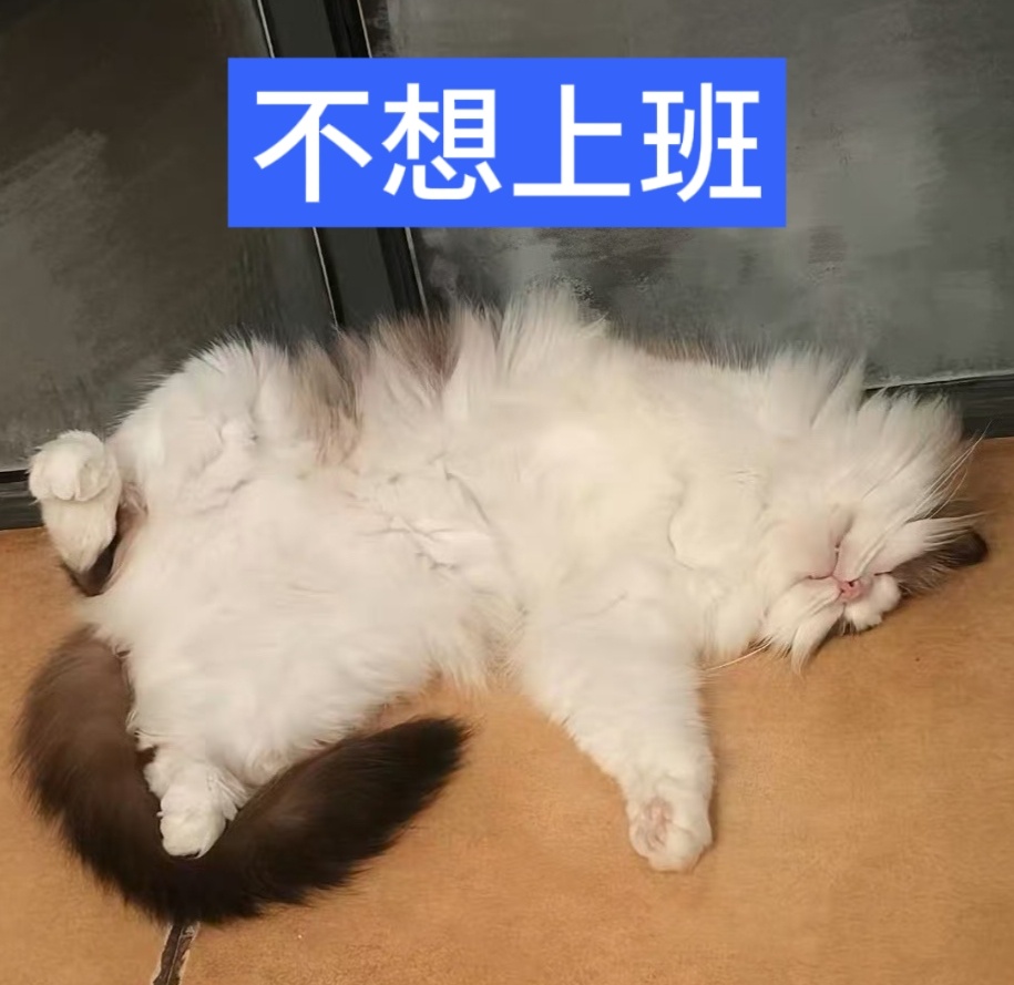 厚米大王精神状态左航一路向海的少年 左航
