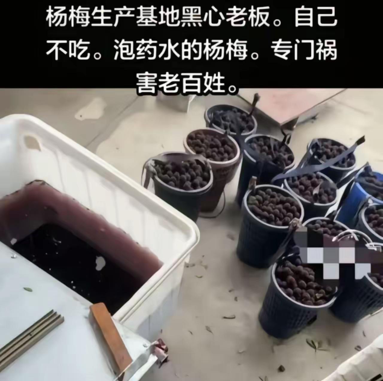 出口杨梅“冰火两重天”？真相令人深思，但绝非你想的那样！

老婆这个问题，确实像