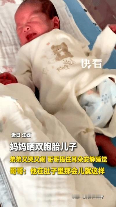笑出声的一幕：江西一宝妈晒出家里刚满16天的双胞胎，弟弟嚎到破音，哥哥居然双手捂