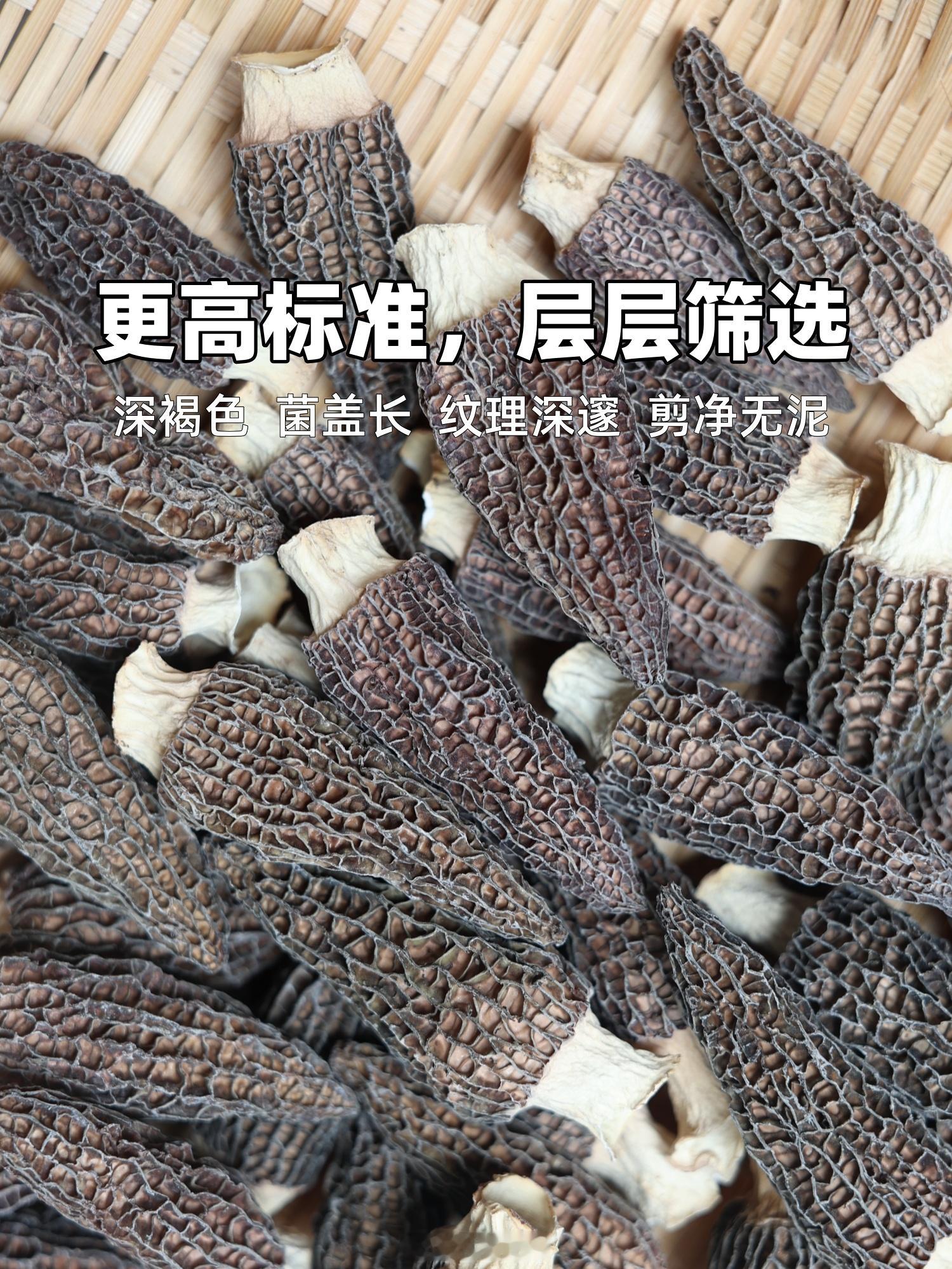 5-7cm规格的羊肚菌暂时卖完下架了，我也是接触了这个行业才知道，如果你买5-7