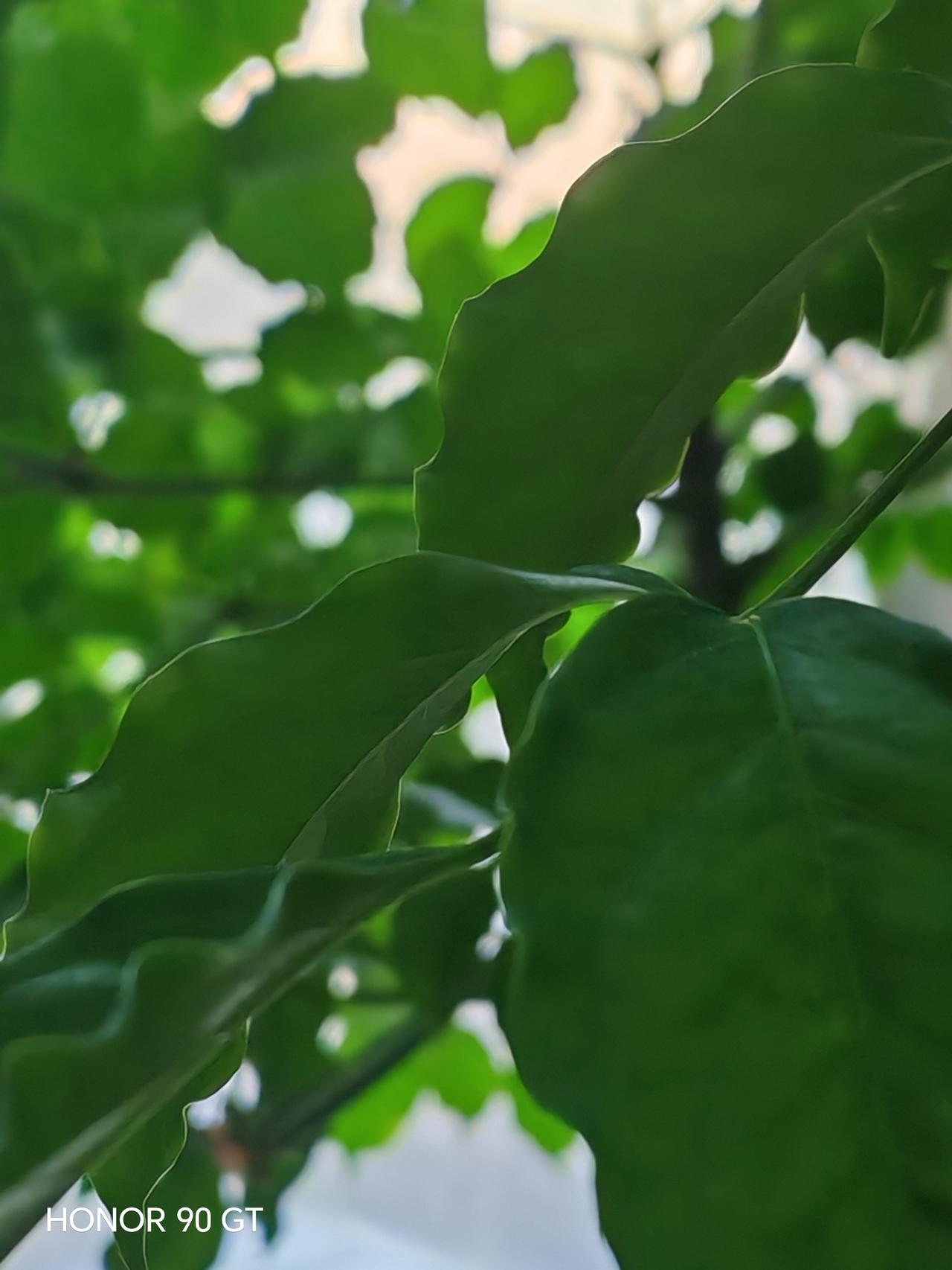 春天花会开，
快乐每一天。