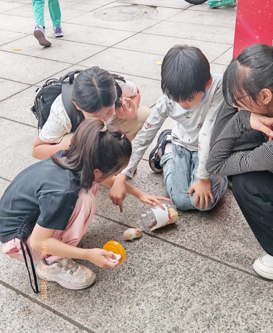 孩子作业写不完,该熬夜写吗?
作业写不完，真别硬熬！今晚就到此为止
 
孩子作业