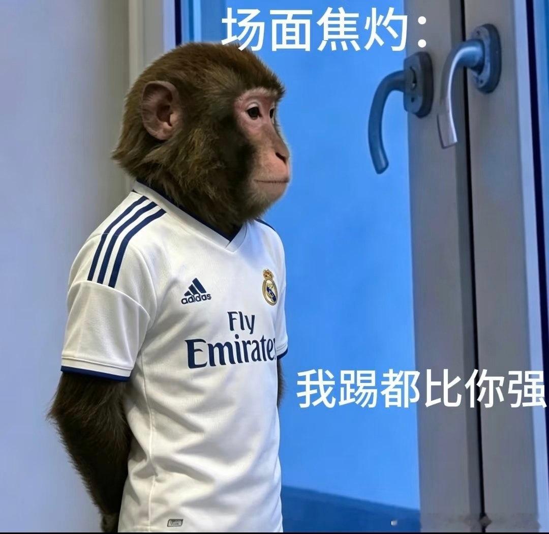最尊重猴的剧组出现了别的剧组把猴子当道具，这个剧组认真对待动物演员，细节满满真的