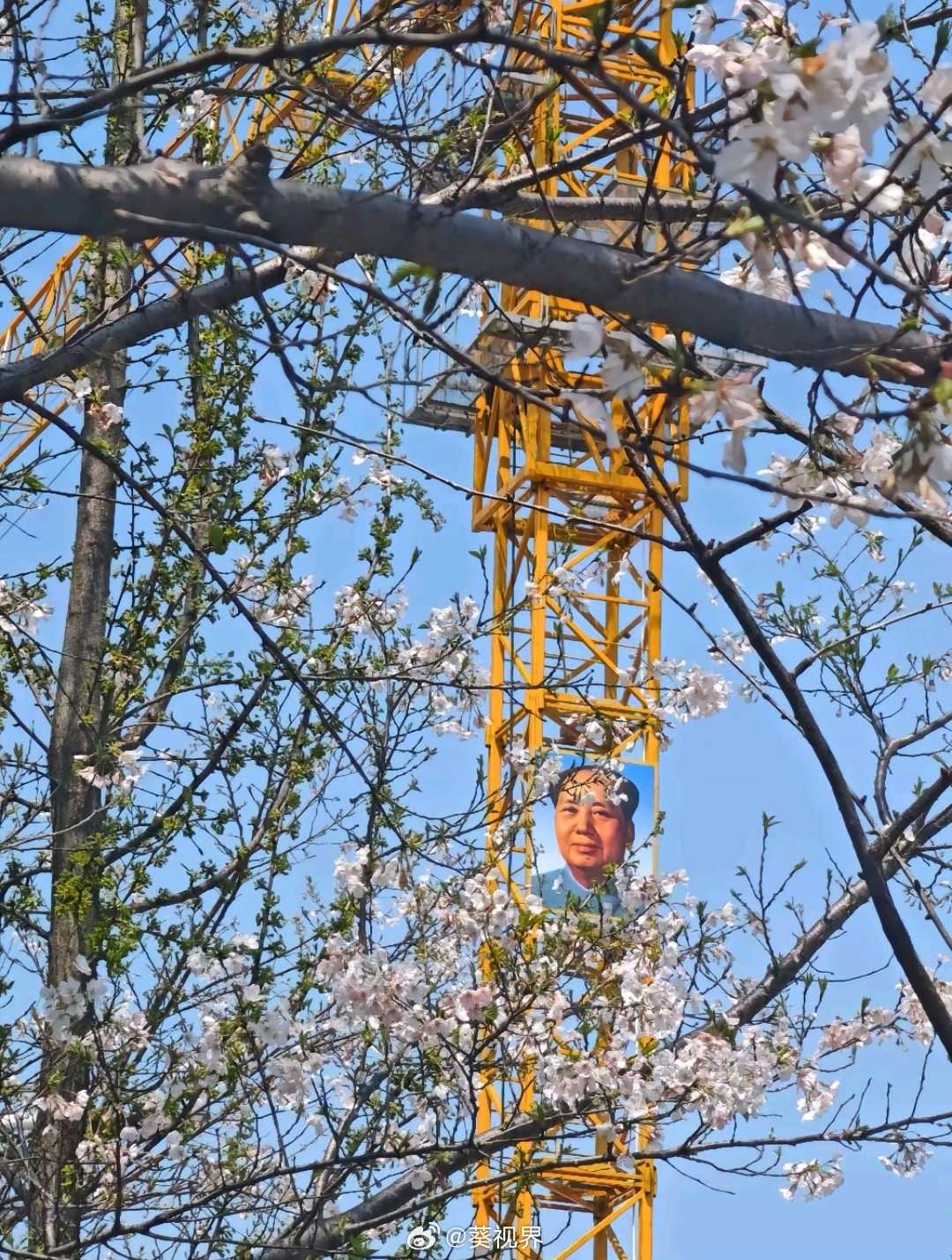 教员并不知道，他笔下的许多诗句，其实正是人民看向他的视角。比如，待到山花烂漫时，