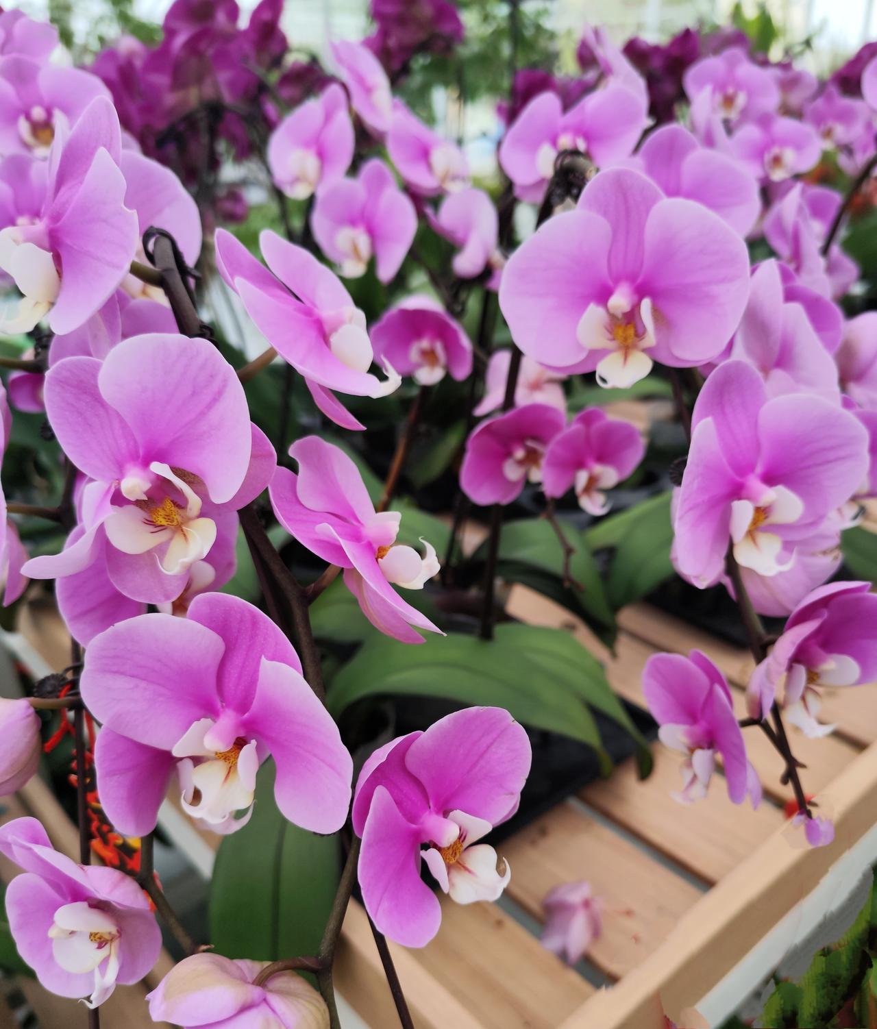 记录我的2026春暖花开，惬意旅游