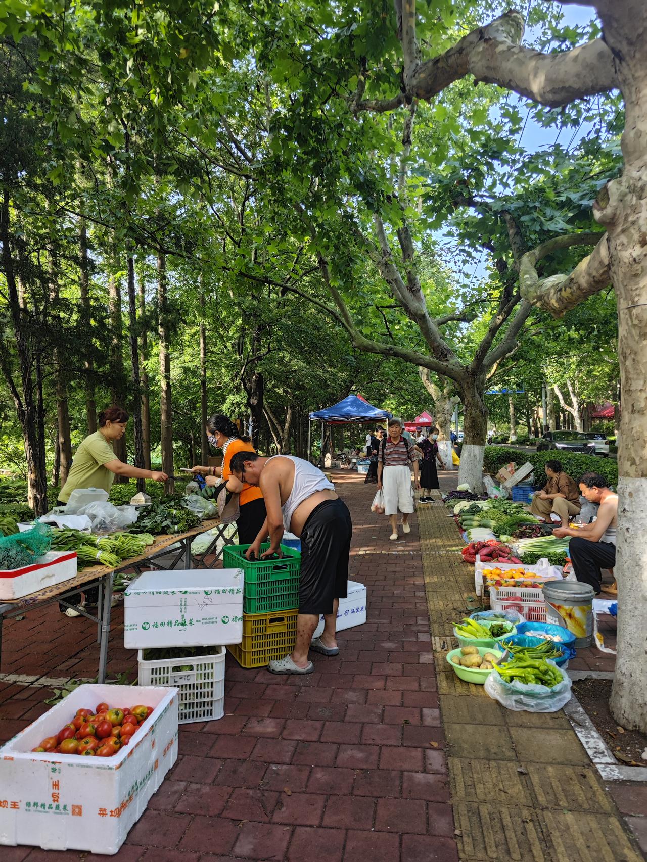 青岛中山公园西门口处有大集了，你知道吗？
坐地铁3号线从B口下车，从中山公园南门