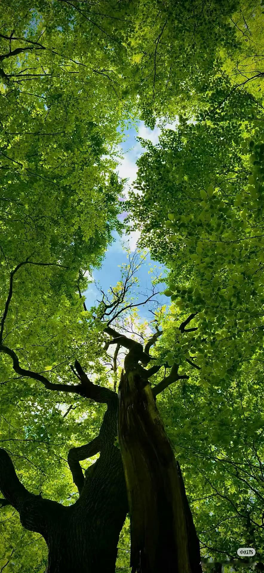 每日一善  🍊每日‎一善 【极好724】每日一善，是心田的耕耘。善良如同阳光，