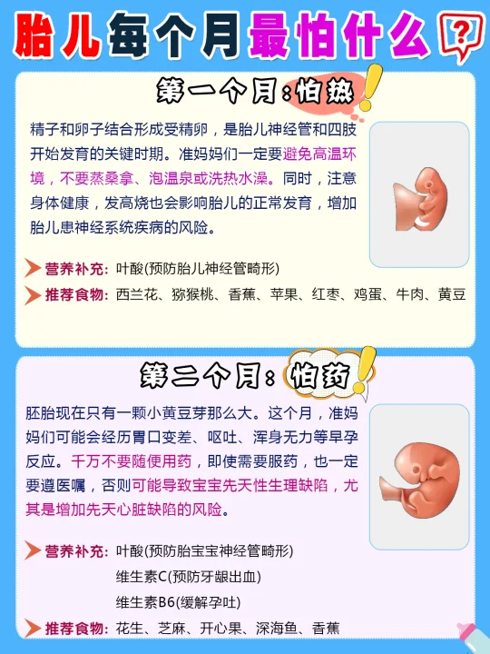 怀胎十月，胎宝宝每月最怕什么？新手爸妈注意