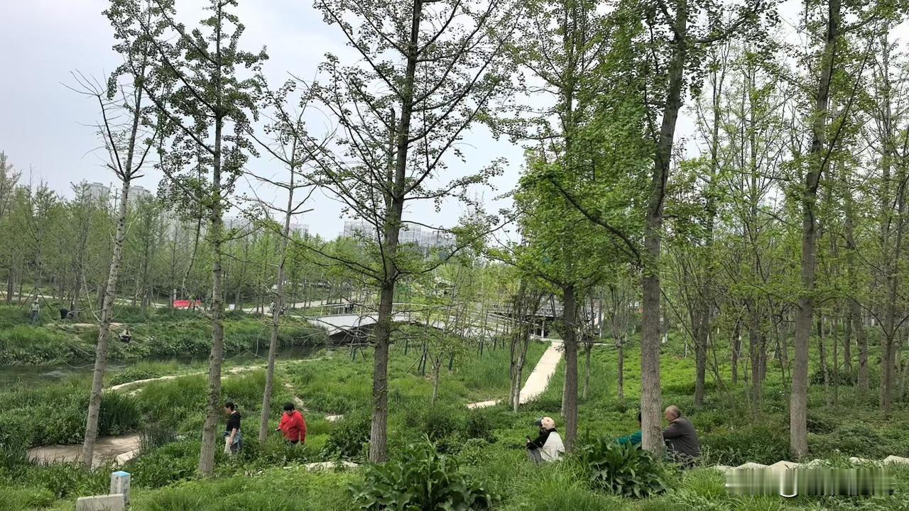 头发被风吹乱了，我却没记住风的样子。​柔软的四月，比浅绿的三月更温暖一些。
蝴蝶