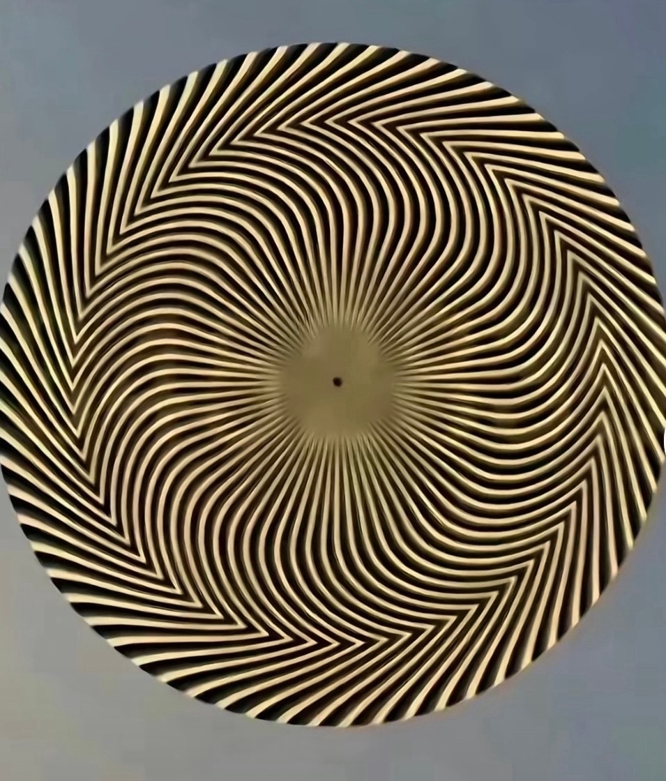 来，检查一下你们的眼神，能看到几个数字？ 