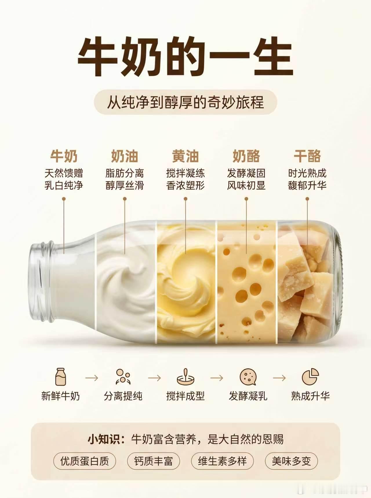 特仑苏会员日大馈赠 不看不知道，一看……我们每天喝的牛奶居然是黄油、奶酪、奶油的