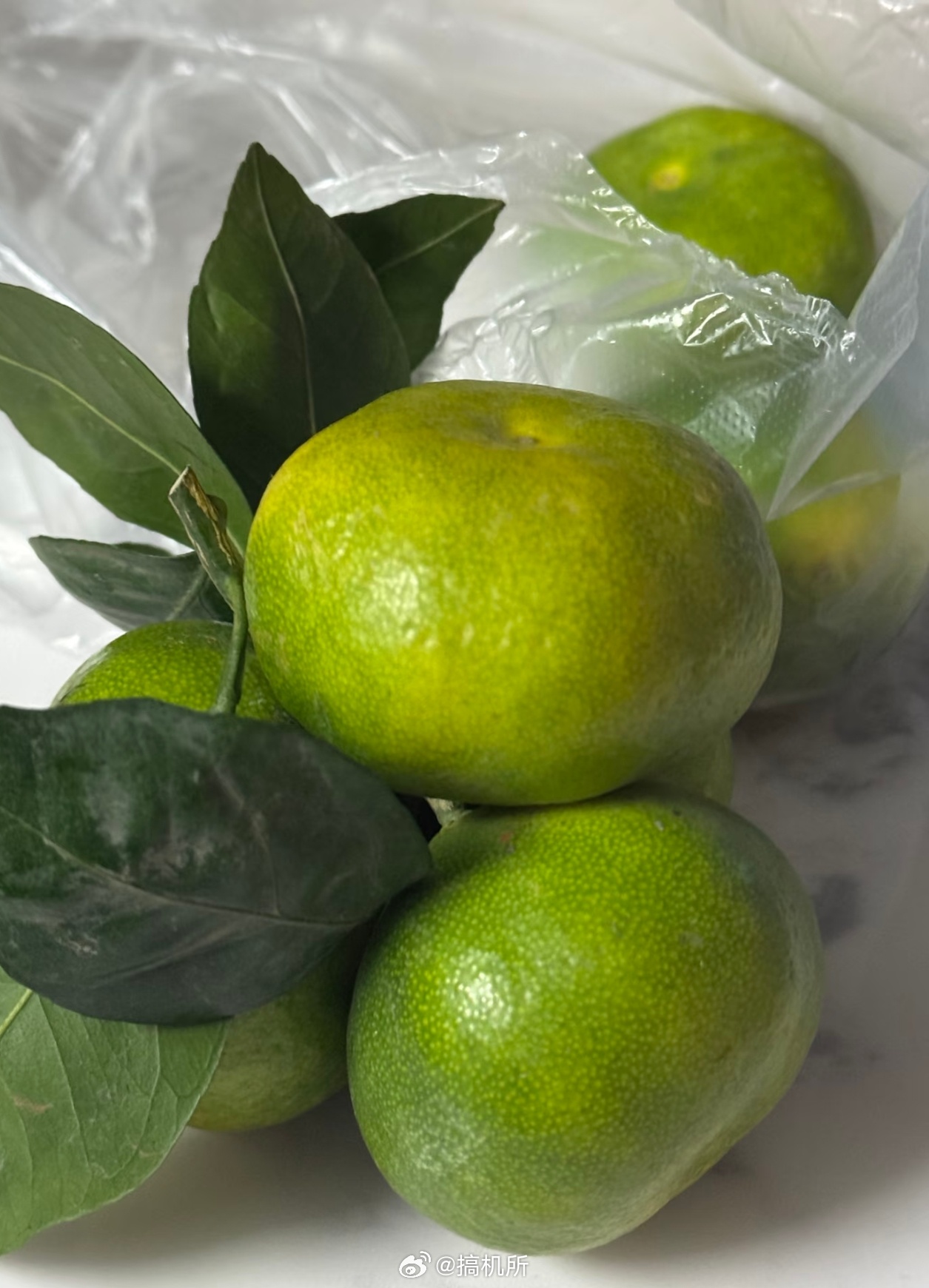 被时代淘汰的水果突然好想吃拐枣和绿皮橘子啊，好久没在市场上见到这两样东西了