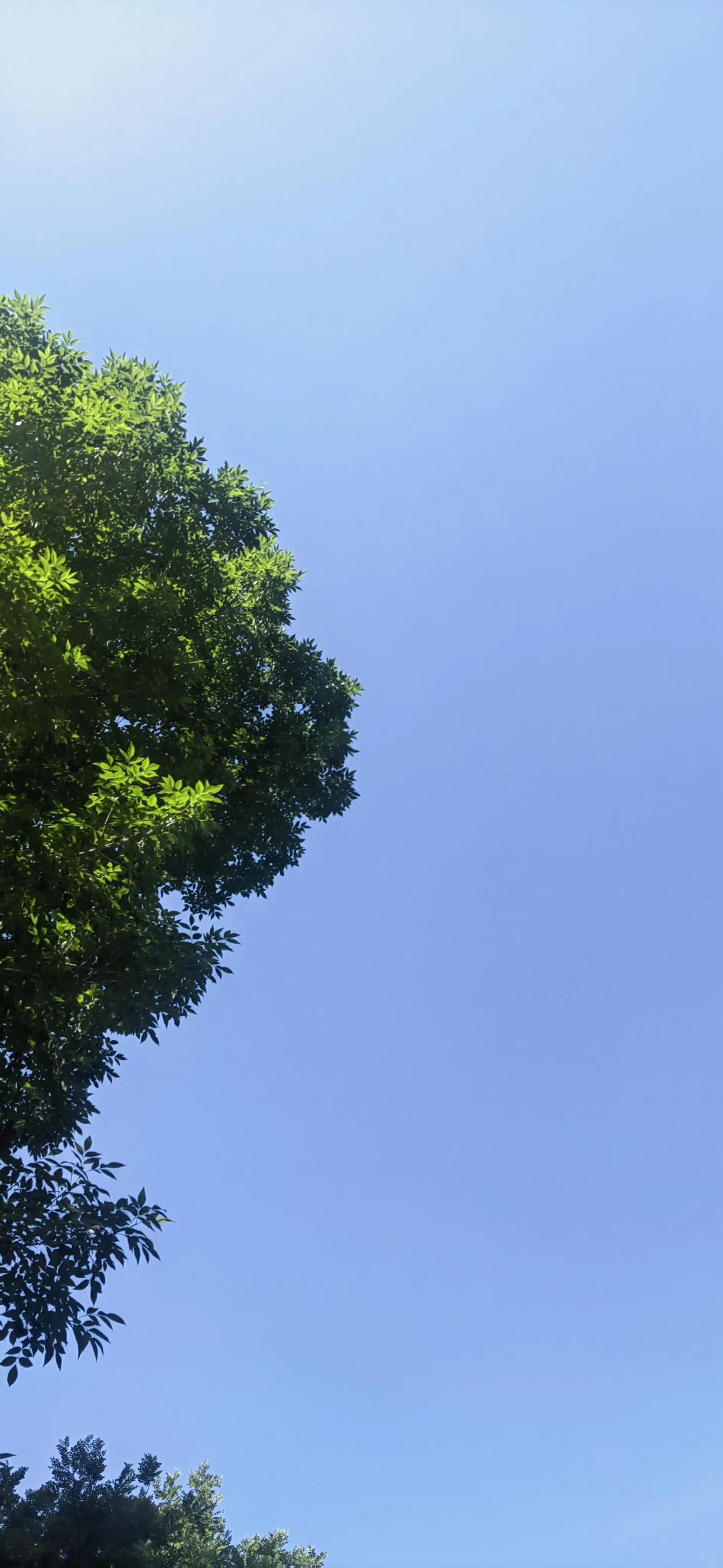 早晨起来，收拾好自己，打扫完家里的卫生，看着干净的家，心生愉悦。

昨天，远在千