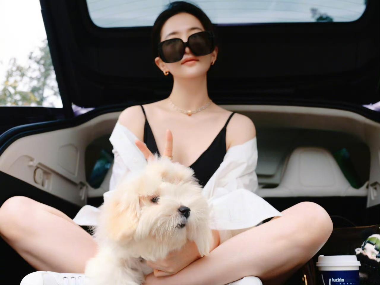 娱乐[超话]刘亦菲遛狗look刘亦菲高智姐感look刘亦菲高智姐感look，姐子