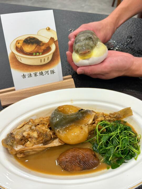 杭州真的什么都有...河豚料理第一次吃！！