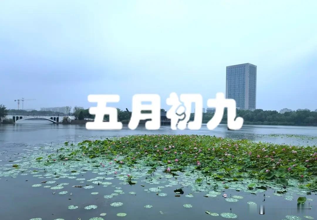 明日农历五月初九，再忙牢记“吃4样，做1事”，岁岁安康迎吉祥！
 
农历五月初九