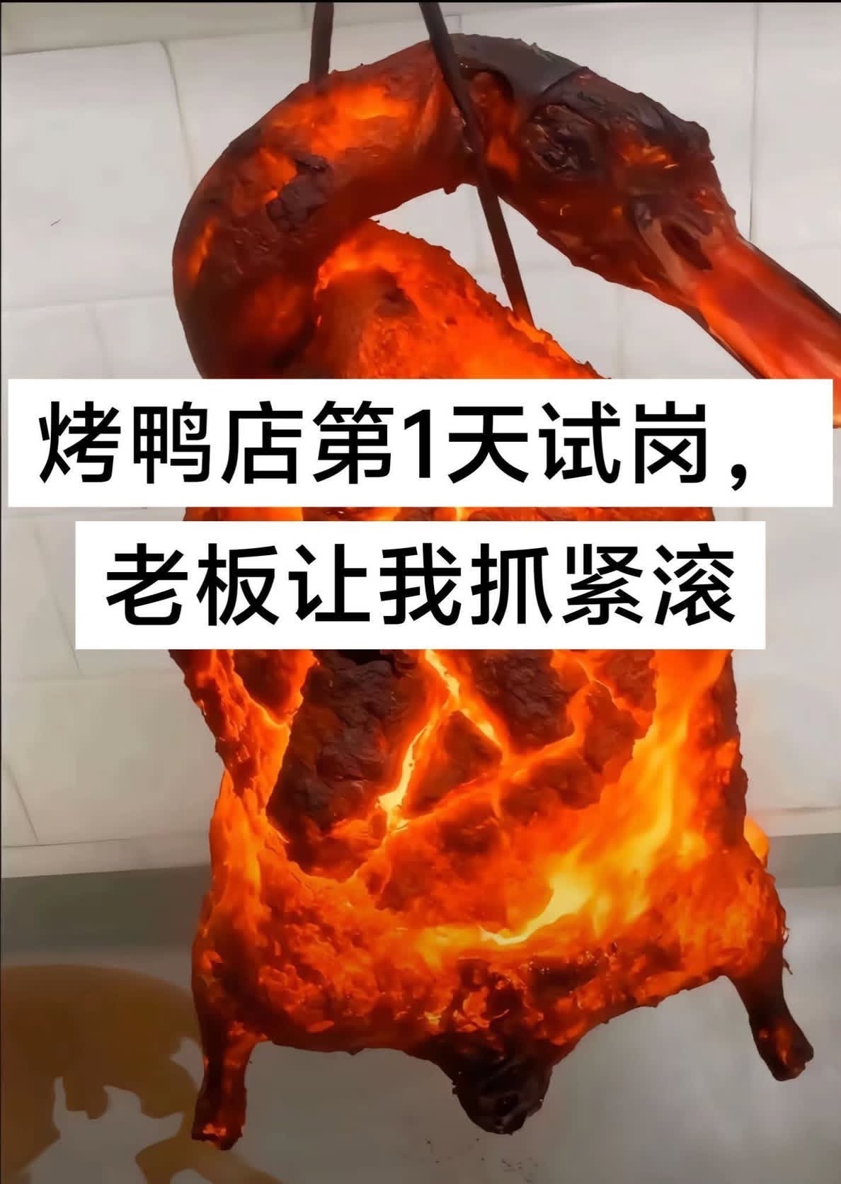 这烤鸭看起来会原子吐息meme