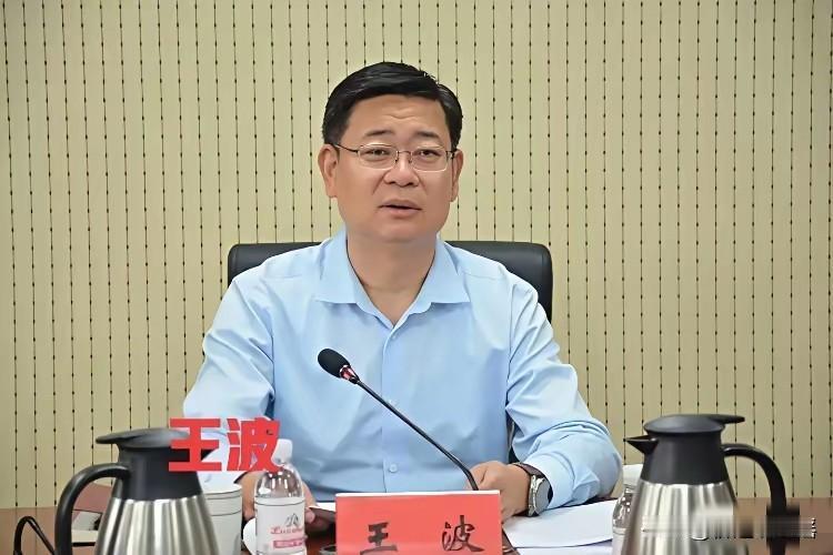 青岛，又一位！
今天官宣的是青岛市委常委兼市府副职王波。王1970年出生。曾任职