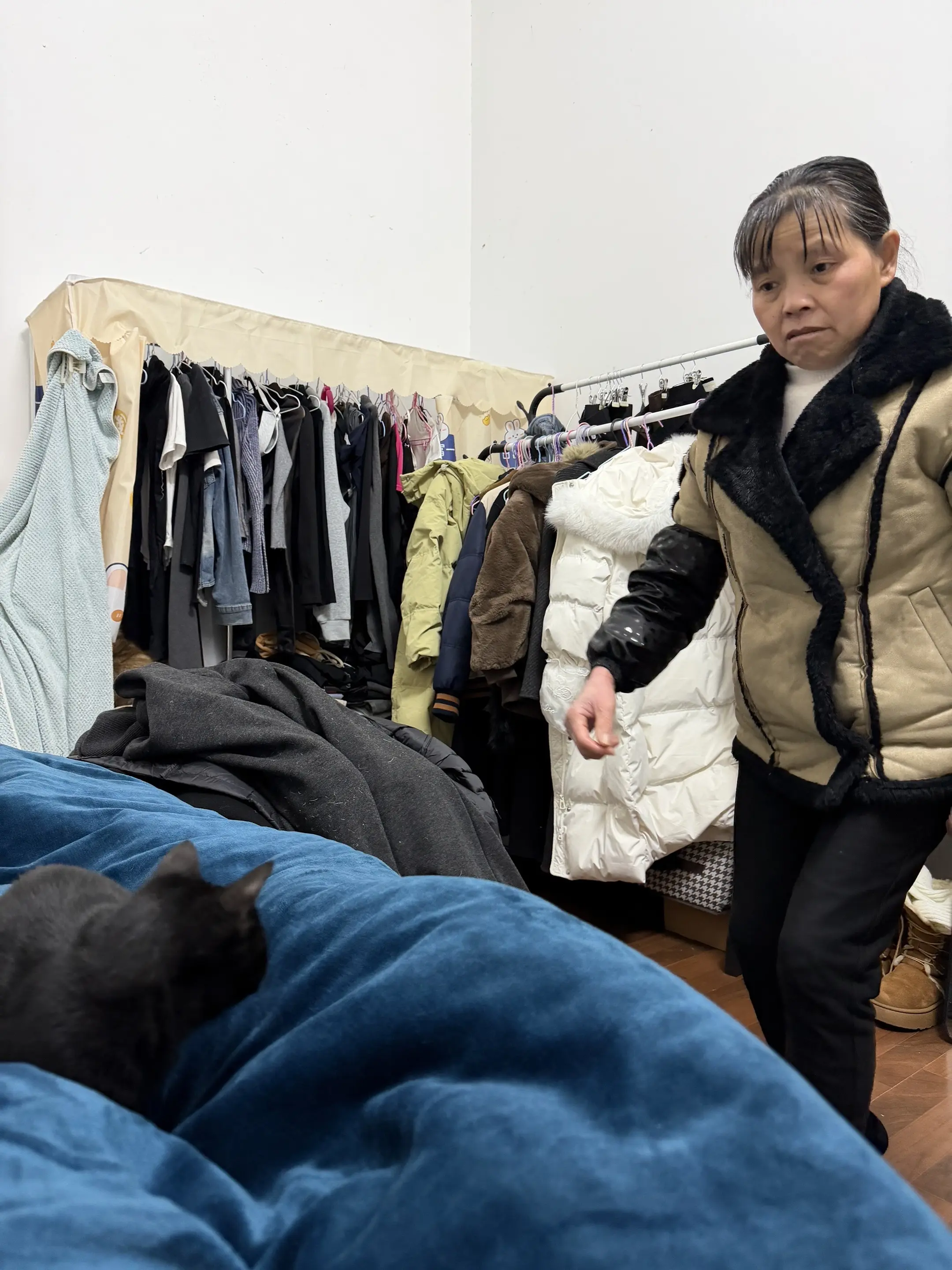 这是一个悲伤的故事。为什么长辈都不喜欢让小猫上床？