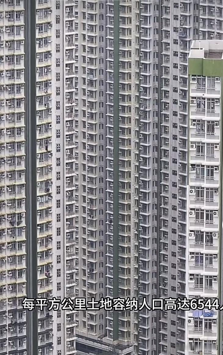 这样的小区住进去什么体验？

所以，看看现在自己住的地方还是不错的啊[捂脸]
自