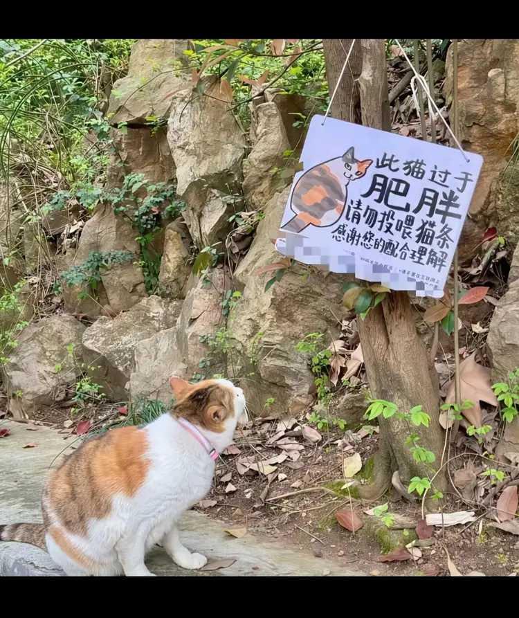 说的就是你
