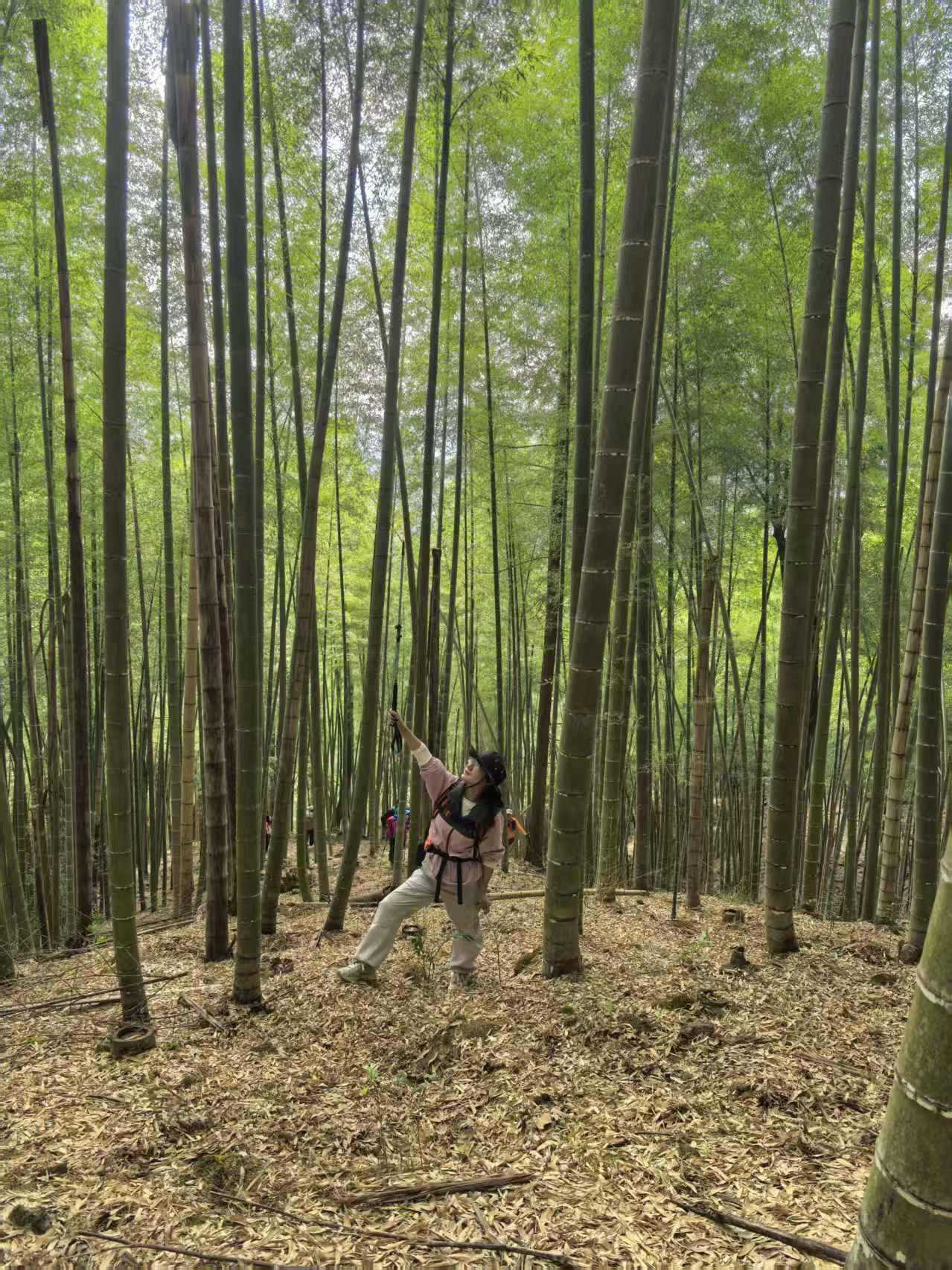 最近的地方转转