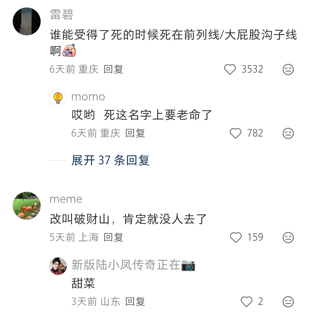 都是很会提建议的