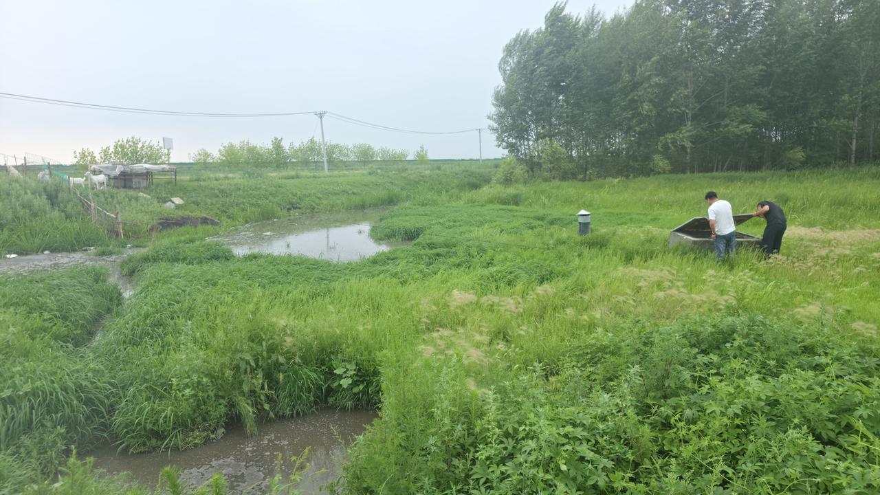 夏日生活打卡季 夏日生活真是丰富多彩！白日骄阳似火，我就喜欢宅家享受慵懒。切一块