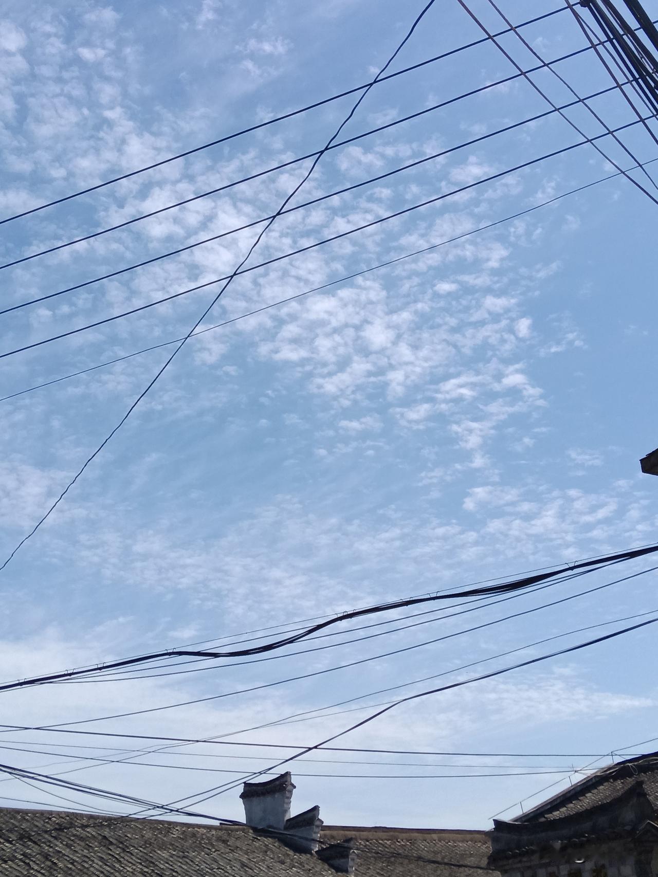 其实，中国的广大老百姓并非真傻。很多人追随那些高喊口号的企业，并非出于热爱或内心