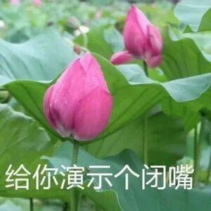 Ab姐，你快来看你的偶像lisa又上rs了，你在哪里呀？#Lisa卷发# ​​​