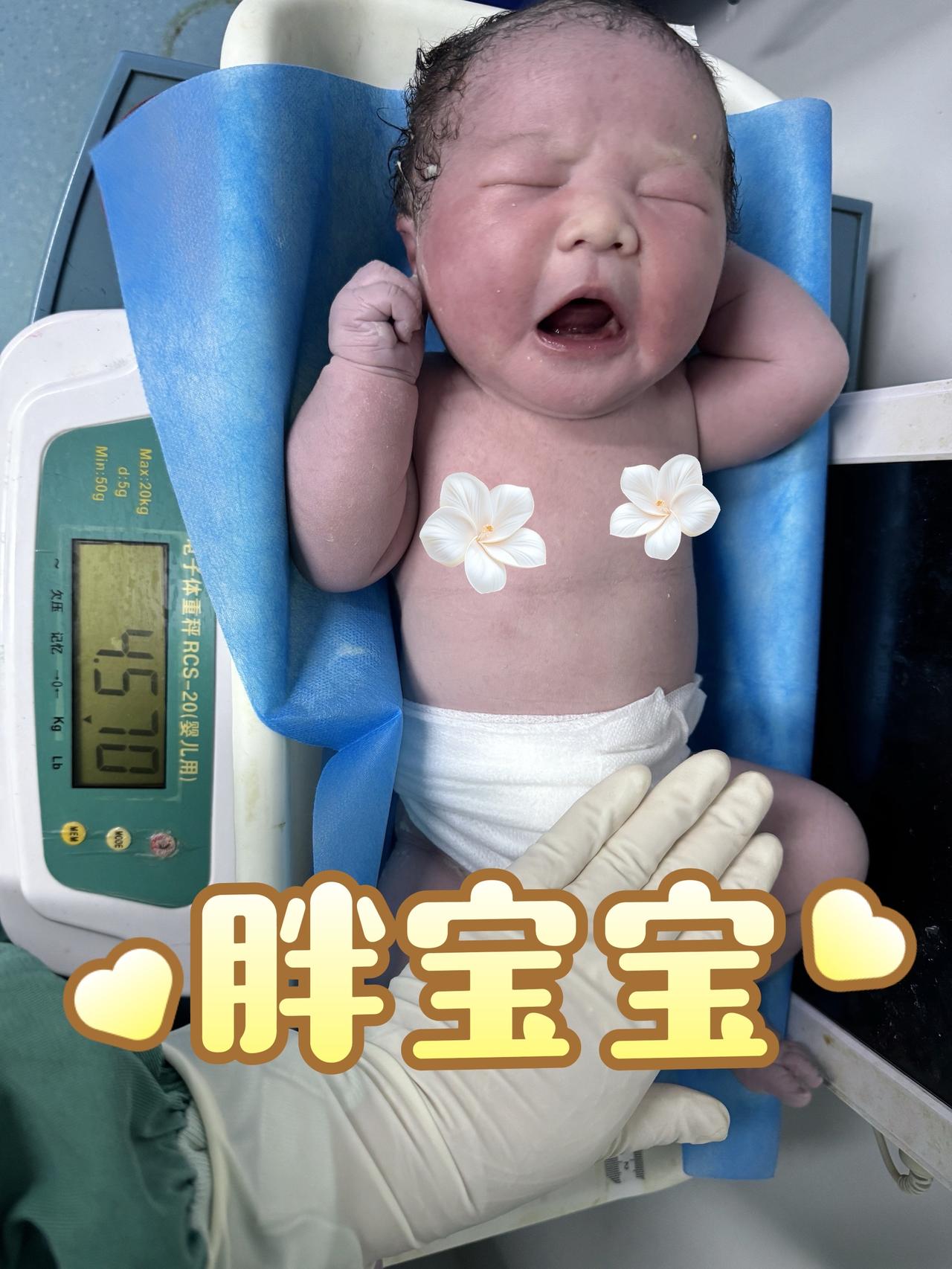 孕38+6周 二胎✅恭喜宝妈于今日平安分娩4570克胖崽崽一枚🎊巨大儿 迎接新