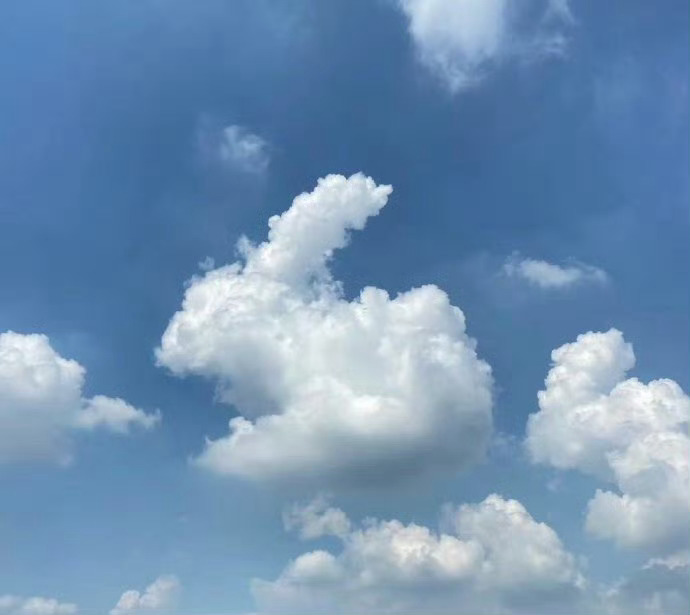 “ 云的形状 … ” 