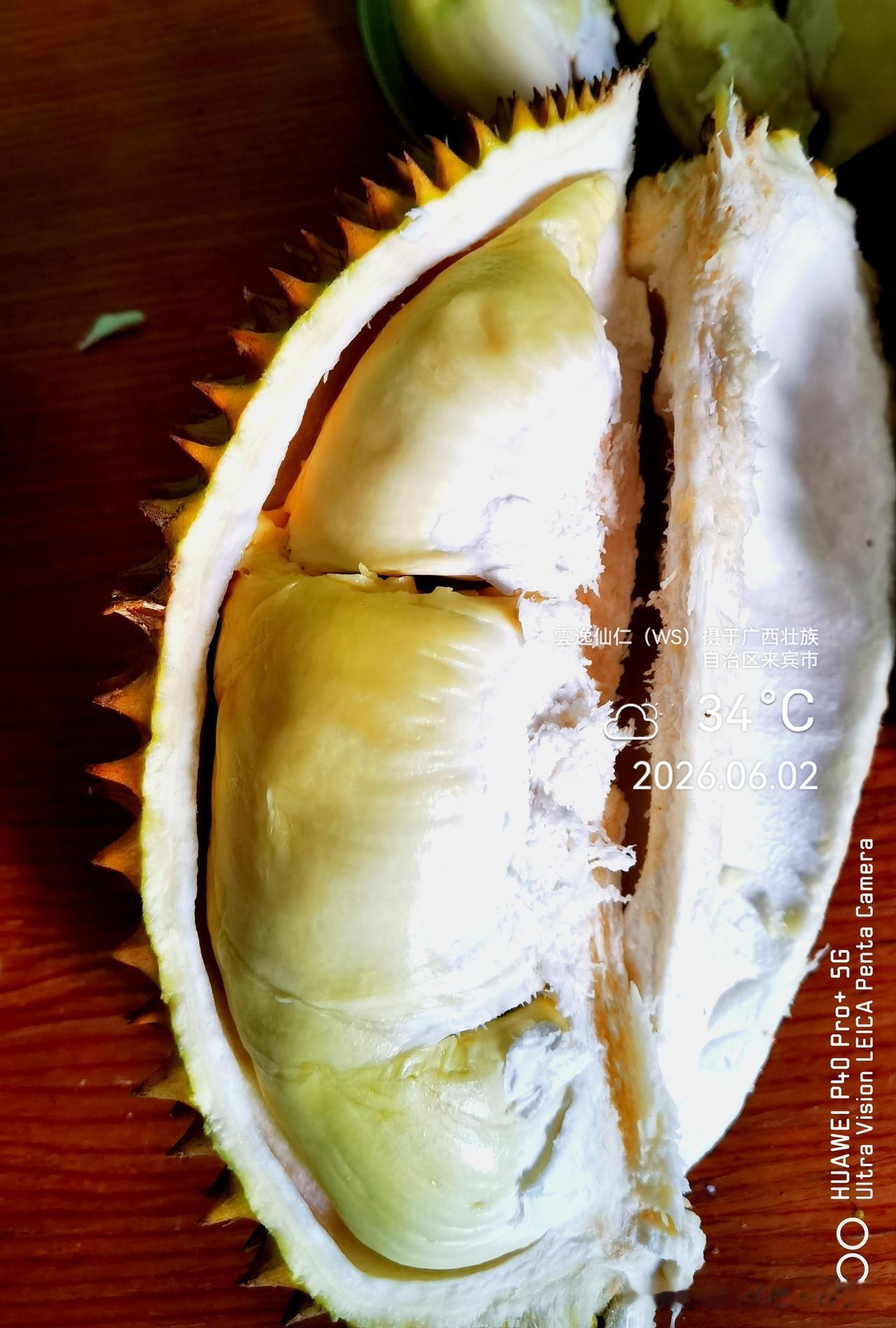 月居生活记录（9841）广西壮族自治区来宾市（66）品尝小吃28：金枕榴莲90.