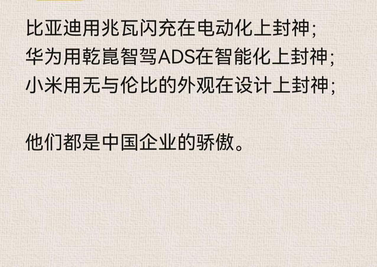 他们都是中国企业的佼佼者。比亚迪
