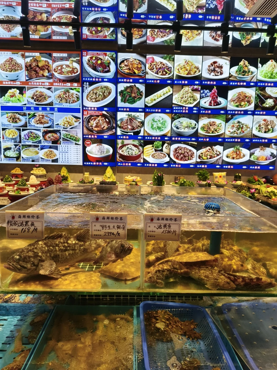 跟着父辈来吃的老店！果然没踩雷！