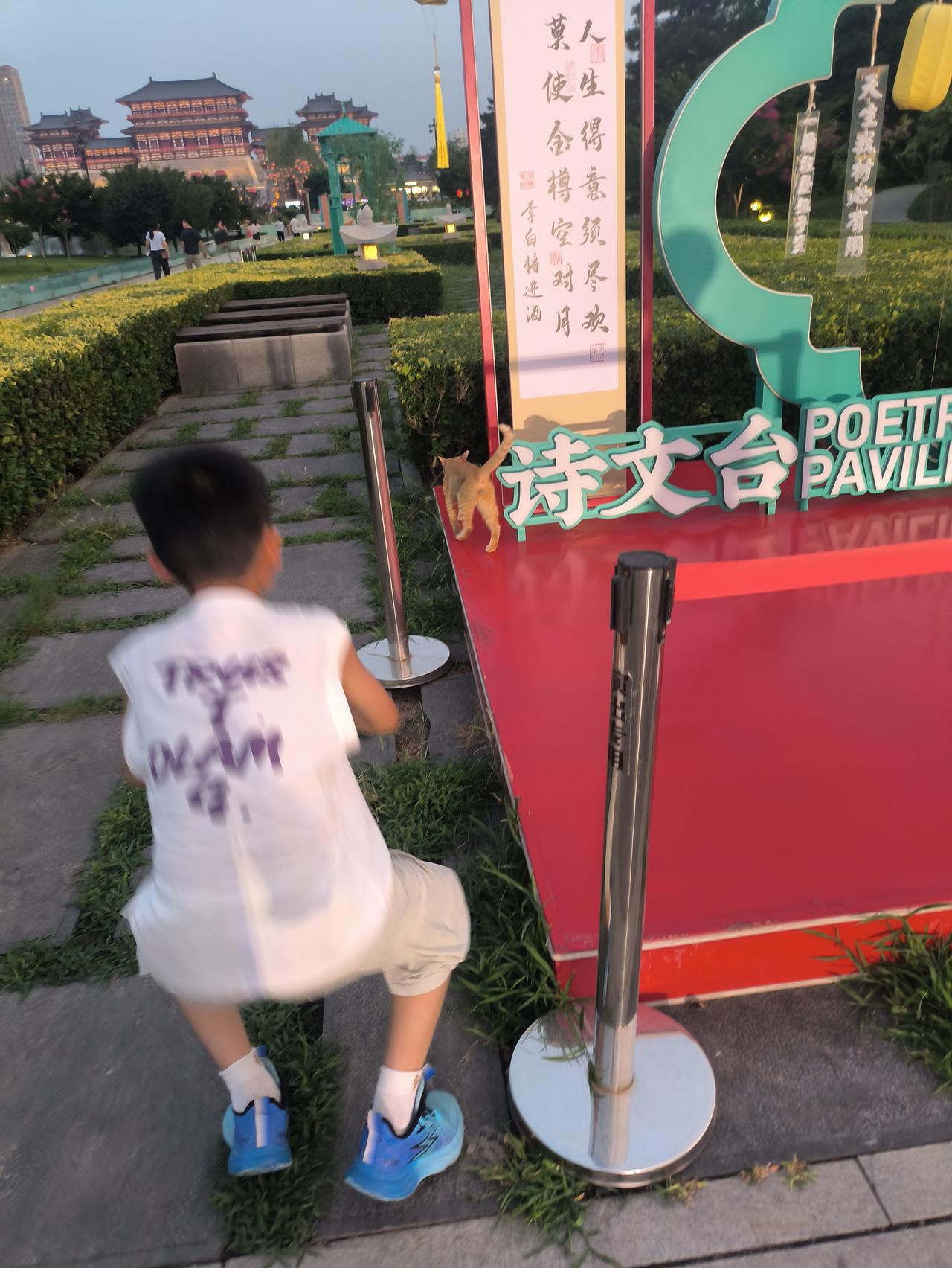 六十多岁的我，教了三十多年的书，为什么现在带七岁的孙子总有困难？

是疼爱还是孩