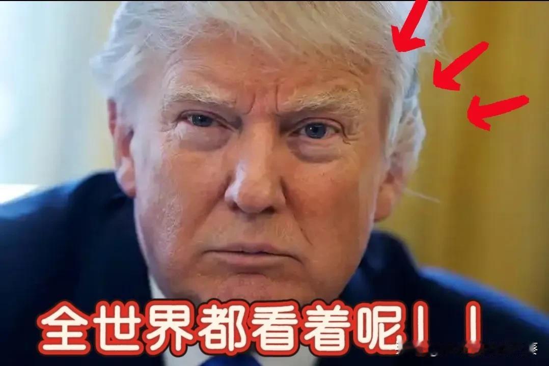 本来想拿马杜罗立个威，

结果这回算是彻底玩砸了。

这一巴掌下去，不但没把人震