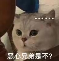 老登的直播每次都是戛然而止。特别像那种不负责任的男人，说完了就完了，毫无征兆，自