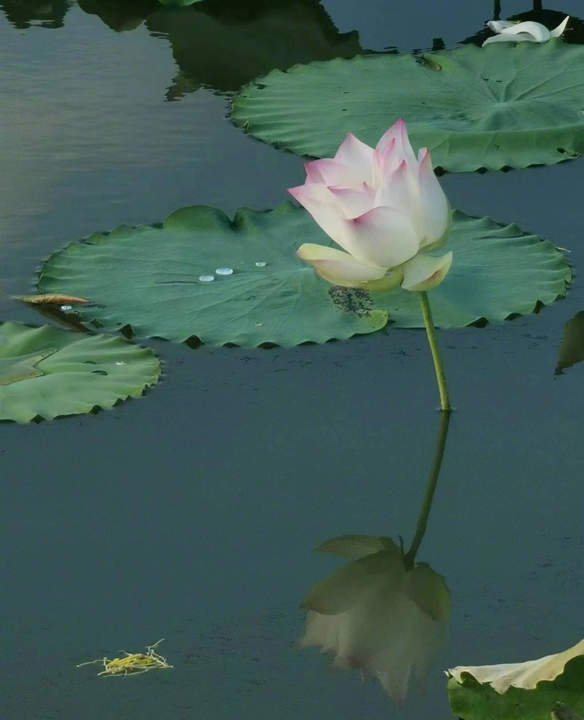 戏说儿科男医生医生谈恋爱被分手之情景剧。晚上十点，儿科门诊，注意，是儿科门诊，原